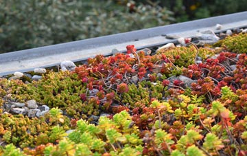 the cost of Winsh Wen green roof installation