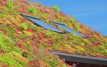 Winsh Wen living roof systems