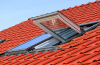 Winsh Wen roof window